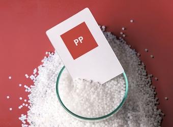 PP bio image