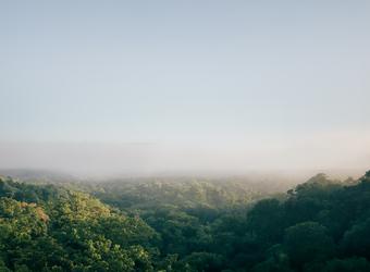 Nachhaltigkeitsstandards