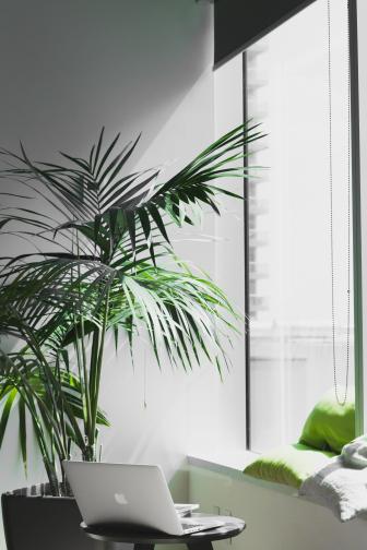 comfortable window